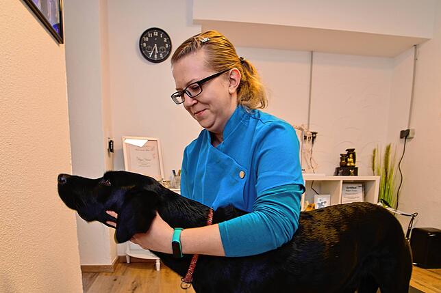 Ist der Kiefer in Ordnung? Regina Fester fühlt Samu mit sicherem Griff am Kopf entlang.