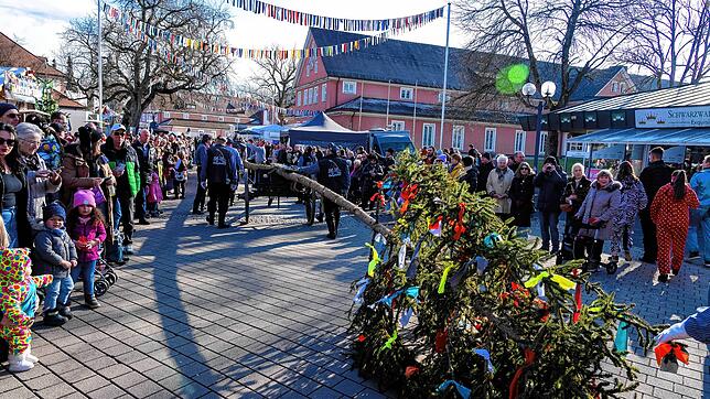 Bild : So schön war‘s am Samstag beim Umzug des Narrentreffens in Bad Dürrheim