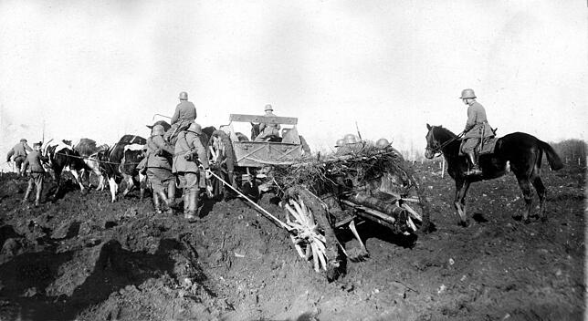 1. Weltkrieg an der Westfront Pferde- und Ochsengespanne müssen Geschütze durch die verwüstete Landschaft ziehen.