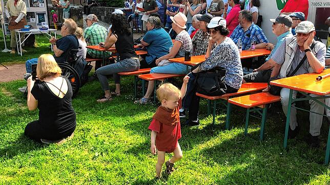 Bild : 50 Stunde Stadtgeschichte am Stück. Bilder vom Stadtführungsmarathon in Villingen-Schwenningen