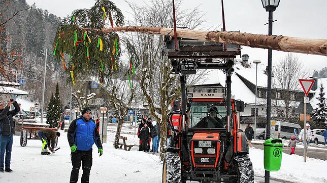 Der Todtmooser Narrenbaum wird im Schnee aufgerichtet.