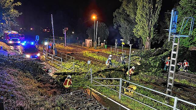 Eine Pappel ist am Waschplatz in Ludwigshafen über die Bahngleise gestürtzt.