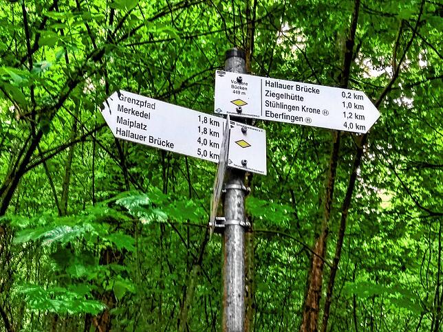 Der Grenzpfad in Stühlingen, an dem es unzählige Möglichkeiten für einen Abstecher in die Schweiz gibt, gehört zu den beliebten ...