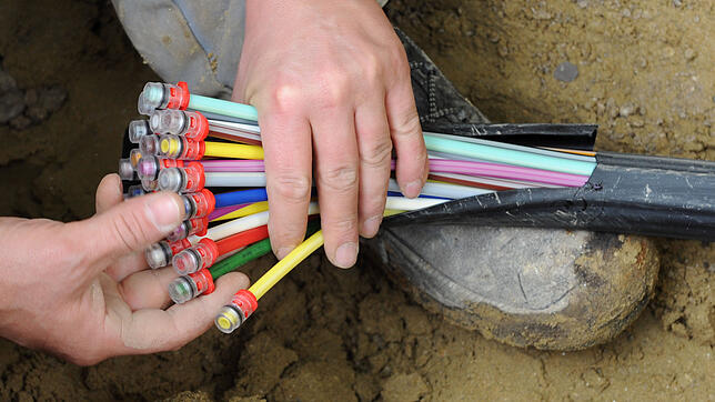 So sehen die Glasfaser-Kabel mit Einzelsträngen aus. Bild: Peter Kneffel/dpa