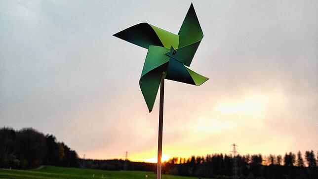 Im Schindelwald bei Gallmannsweil im Hintergrund des Bildes ist eine von zwei Flächen im Raum Stockach des Landes Baden-Württemberg, die ...
