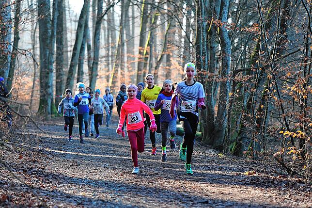 Bild 17: Unsere große Bildergalerie vom Crosslauf in Markelfingen, Teil 2!