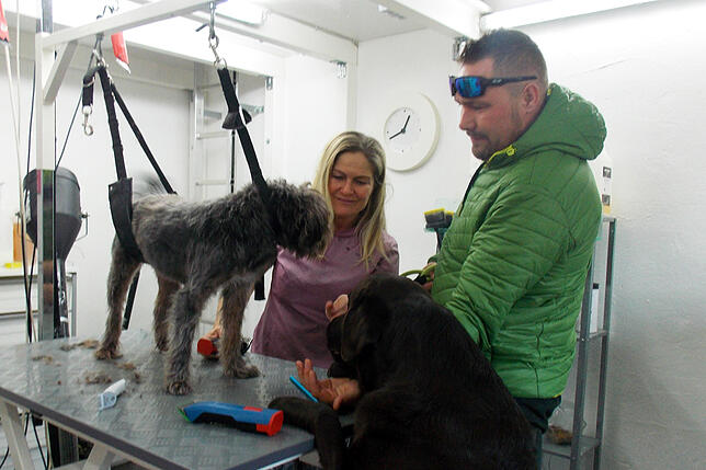 Bild 6: Alles für den Hund – Wenn Frauchen und Herrchen arbeiten, kümmert sich der Konstanzer Hundebetreuer Rainer Pohl um die Vierbeiner