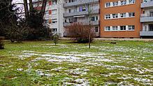 Auf dieser Wiese hat sich der Messer-Vorfall ereignet. Hinten rechts vor dem orangfarbenen Haus sieht man den Baumstumpf, der den ...
