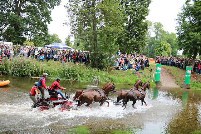 Bild 1: Bilder vom Marathon der Vierspänner beim Reitturnier in Donaueschingen