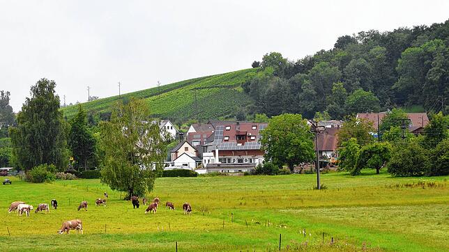 Der dörfliche Charakter des Weilers Wangen soll weiterhin gewahrt werden. Der Gemeinderat hat per Satzung Bauvorhaben ermöglicht. Foto: ...