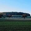 Der Engener Gemeinderat hat als Jagdvorstand die neue Verpachtung der Jagdreviere beschlossen. Im Bild zu sehen ist ein Teil eines ...