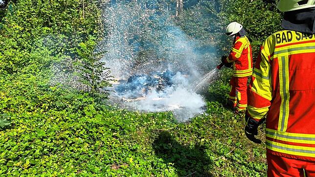 Wenn aus dem Lagerfeuer ein Heckenbrand wird &ndash; Wer ein Feuer im Garten entzündet sollte gut aufpassen. Durch verschiedene ...