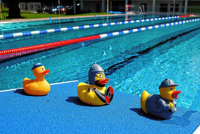 Hintereinander her schwimmen wie diese Quietsche-Enten mussten Freibadbesucher in Waldshut-Tiengen.
