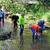 Die Stadt Geisingen bietet trotz Corona-Einschränkungen ein Kinderferienprogramm an. Allerdings mit Einschränkungen. Was lebt im Wasser ...
