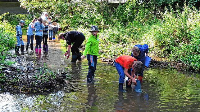 Die Stadt Geisingen bietet trotz Corona-Einschränkungen ein Kinderferienprogramm an. Allerdings mit Einschränkungen. Was lebt im Wasser ...
