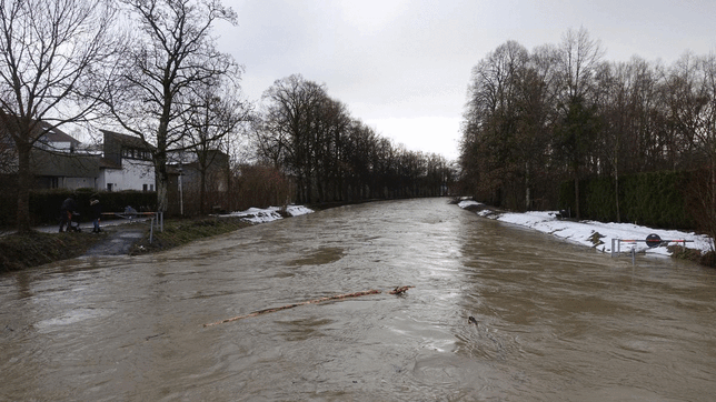 Bild 7: Hochwasser: Tauwetter und Regen führen zu Überflutungen. Eindrücke von den Ufern der Rotach, der Brunnisach und der Argen