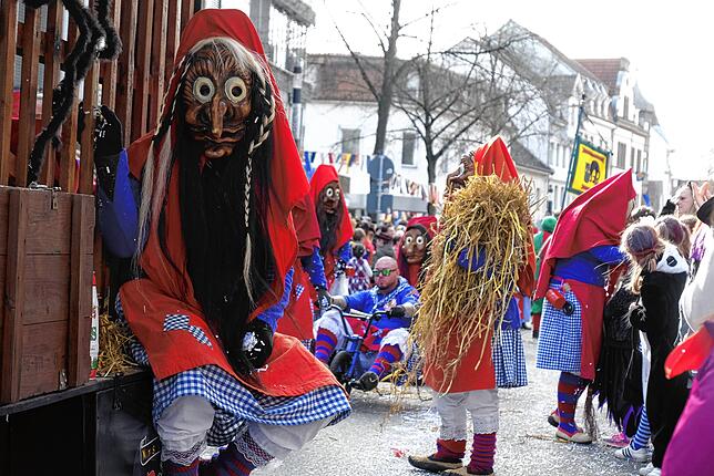 Bild 6: Bilder vom großen Fasnet Samschdig-Umzug der Poppele-Zunft (2)