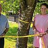 Ernten ausdrücklich erlaubt: Bürgermeister Stefan Kaiser und Ramona Mettenberger vom Bauamt mit dem gelben Band, das nun einige Bäume in ...