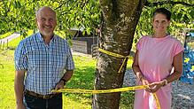Ernten ausdrücklich erlaubt: Bürgermeister Stefan Kaiser und Ramona Mettenberger vom Bauamt mit dem gelben Band, das nun einige Bäume in ...