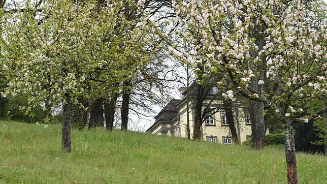Im Apfelsorten-Lehrpfad bei Schloss Rauenstein sind noch ein paar wenige Bäume frei für Patenschaften. Nun suchen BUND und Nabu weitere ...