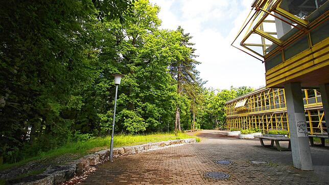 Das Hochbauaumt plante den Erweiterungsbau auf der südlichen Seite der Geschwister-Scholl-Schule quasi parallel zur bestehenden ...