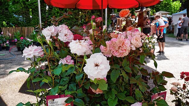 Impressionen von der Gartenlust-Ausstellung im Park von Schloss Schönau