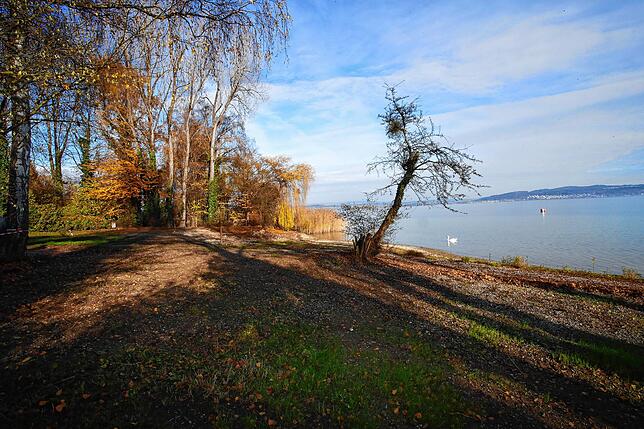 Auf dem Campingplatz Konstanz-Litzelstetten wird künftig der Fokus auf naturnahe Erholung gelegt. Der teilweise verbaute Uferbereich ...