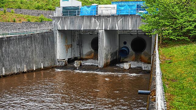 Seit rund vier Wochen werden in unterschiedlicher Stärke Sedimente aus dem Wehrabecken in die Wehra gespült, hier unterhalb der ...