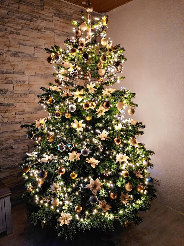 Der Baum von Barbara Kaiser in Stühlingen.