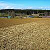 Oberhalb des Tengener Berghofes soll ein drei Hektar großer Solarpark entstehen. Berghof-Landwirt Gerhard Weber brachte seine Idee in ...