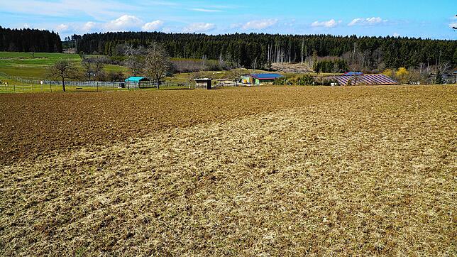 Oberhalb des Tengener Berghofes soll ein drei Hektar großer Solarpark entstehen. Berghof-Landwirt Gerhard Weber brachte seine Idee in ...