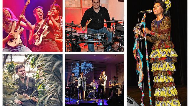 Ganz verschiedene Stilrichtungen sind auf dem Donauquellfest vertreten, so etwa Blackslash (von links oben), Chris Metzger, die Sängerin ...