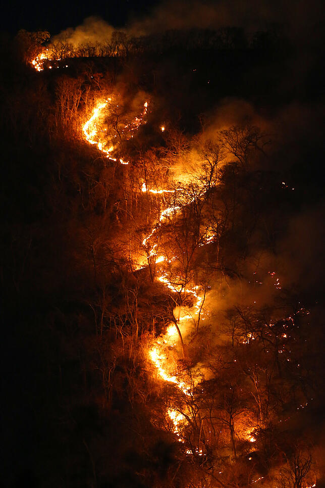 Ein Feuer brennt im Bundesstaat Tocantins in der Nähe von Palmeiropolis. Massive Waldbrände wüten im Amazonasgebiet und den angrenzenden ...