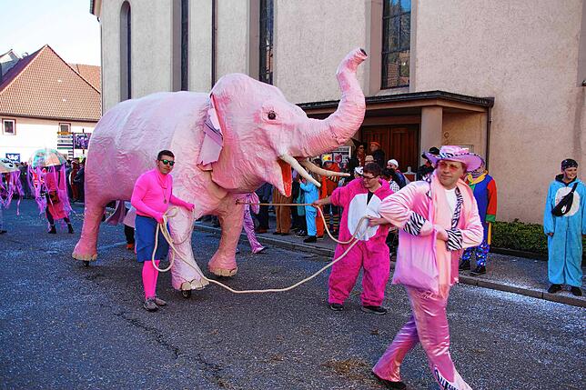 Ein eindrucksvolles Bild bieten beim Umzug in Vöhrenbach 2023 die Schinzele Maube mit ihrem &bdquo;Rosa Mendig&ldquo; und einer Vielzahl ...