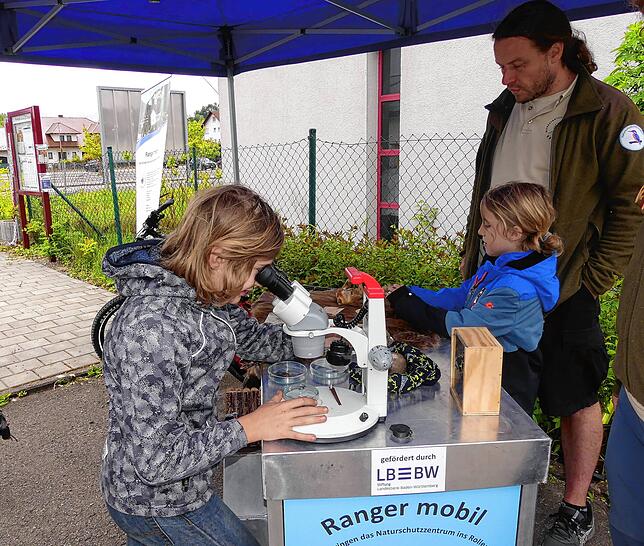 Die Kinder gewinnen bei Markus Ellinger am Info-Mobil interessante Einblicke. Am Mikroskop bestaunt Benedikt einen toten Maikäfer.