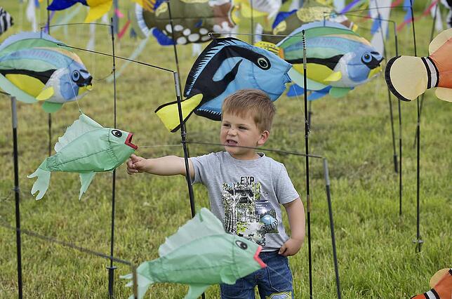 Bild 8: Bunte Figuren und kunstvolle Konstruktionen &ndash; wir haben die schönsten Bilder der Donaueschinger Drachentage