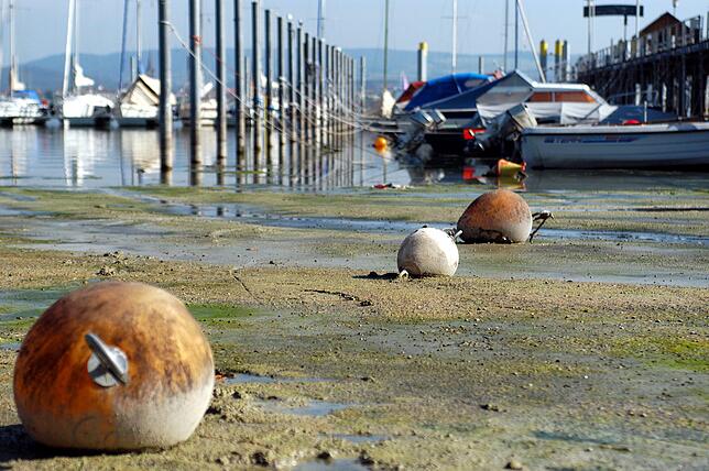 Wenig Wasser am Hafen in Iznang im August 2003.
