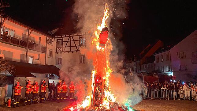 Bild : Bilder vom Hemedglonkerball in Stockach