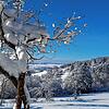 Der Dezember hat mit Schnee und Kälter gestartet, wie hier in Öfingen bei Villingen-Schwenningen.