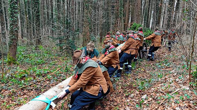 Hauruck: Die Holzhauer ziehen mit Muskelkraft den laut Oberholzer Roland Zimmer 33 Meter langen Narrenbaum aus dem Altbohlwald. Die ...