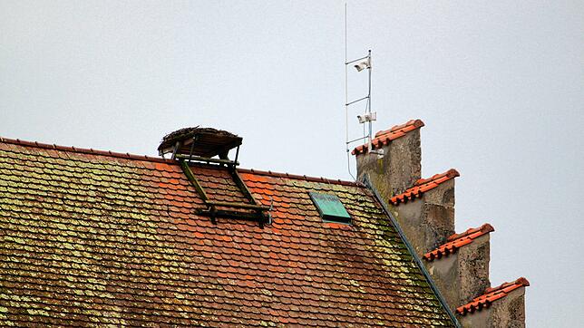 Das Storchennest auf dem Turm des Markdorfer Bischofsschlosses wird dieses Jahr leer bleiben.