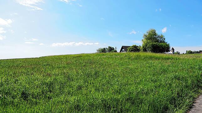 Noch wird das Gelände landwirtschaftlich genutzt: Hier könnte eine Freiflächen-Photovoltaikanlage errichtet werden. Foto: Peter Schütz
