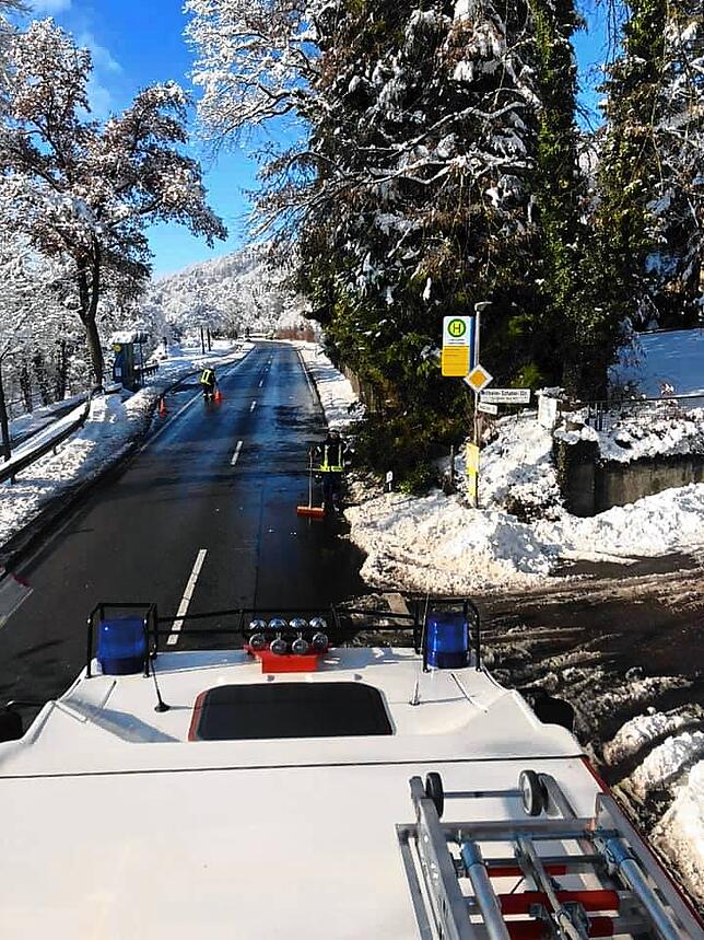 Einsatzkräfte mussten einen umgestürzten Baum von der B34 am Ortseingang von Ludwighafen entfernen.