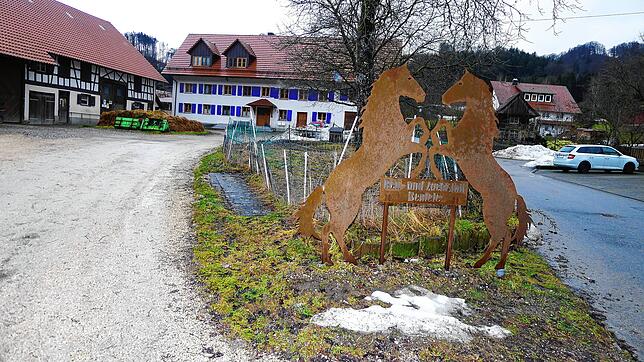 Das Baumloch der Familie Bentele in Deggenhausen, vorne links abgedeckt, wird dieses Jahr zur Fastnacht leer bleiben. Bleibt zu hoffen, ...