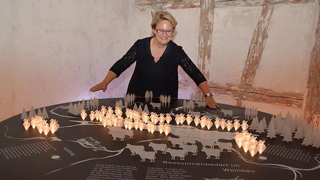 Kulturamts- und Museumsleiterin Christine Johner bedient das interaktive Schaubild, das im Vineum den Ressourcenbedarf im Weinbau ...