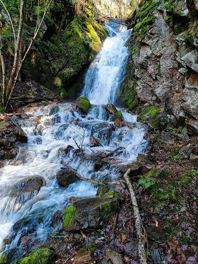 Tosendes Wasser: Frank Uhlmann von der Feuerwehr Berau hat den Berauer Wasserfall nach Regenfall fotografiert, der viel Wasser den Hang ...