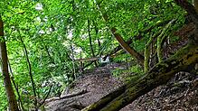 Wenn man vom Anleger an der Marienschlucht in Richtung Wallhausen läuft, kommt an einer Weggabelung diese Absperrung. Nach Wallhausen ...