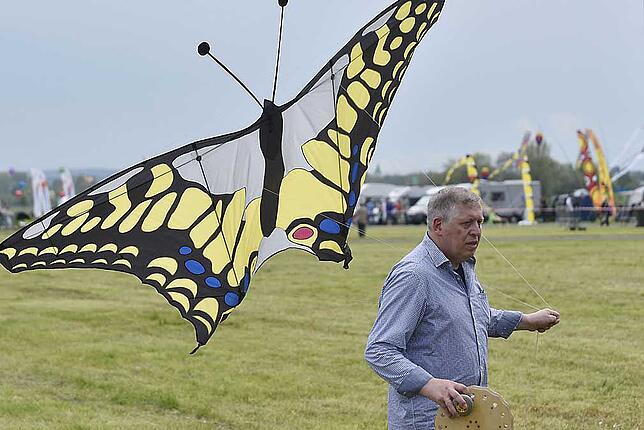 Bild 23: Bunte Figuren und kunstvolle Konstruktionen &ndash; wir haben die schönsten Bilder der Donaueschinger Drachentage