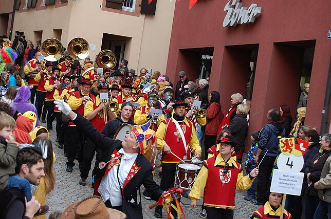 Bild 30: Bilder vom Fasnachtsumzug in Laufenburg