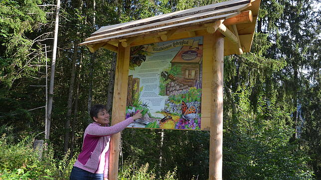 Anja Kaiser, Vorsitzende des Landschaftspflegevereins und Initiatorin des Wildbienen-Lehrpfades, zeigt eine der Infotafeln.